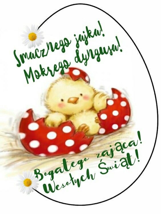 Pisanka z kurczakiem i zielonymi życzeniami